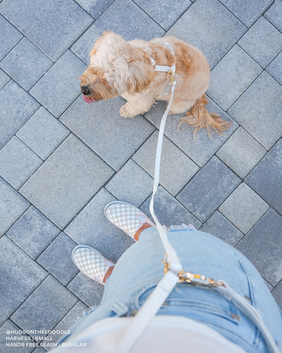 Cloud White Convertible Hands Free Cloud Dog Leash | Multifunctional, Waterproof, and Lightweight Dog Leash | Shop Sunny Tails