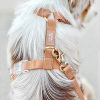 Chai Brown Wide Cloud Lite Dog Harness Bundle 3/4"