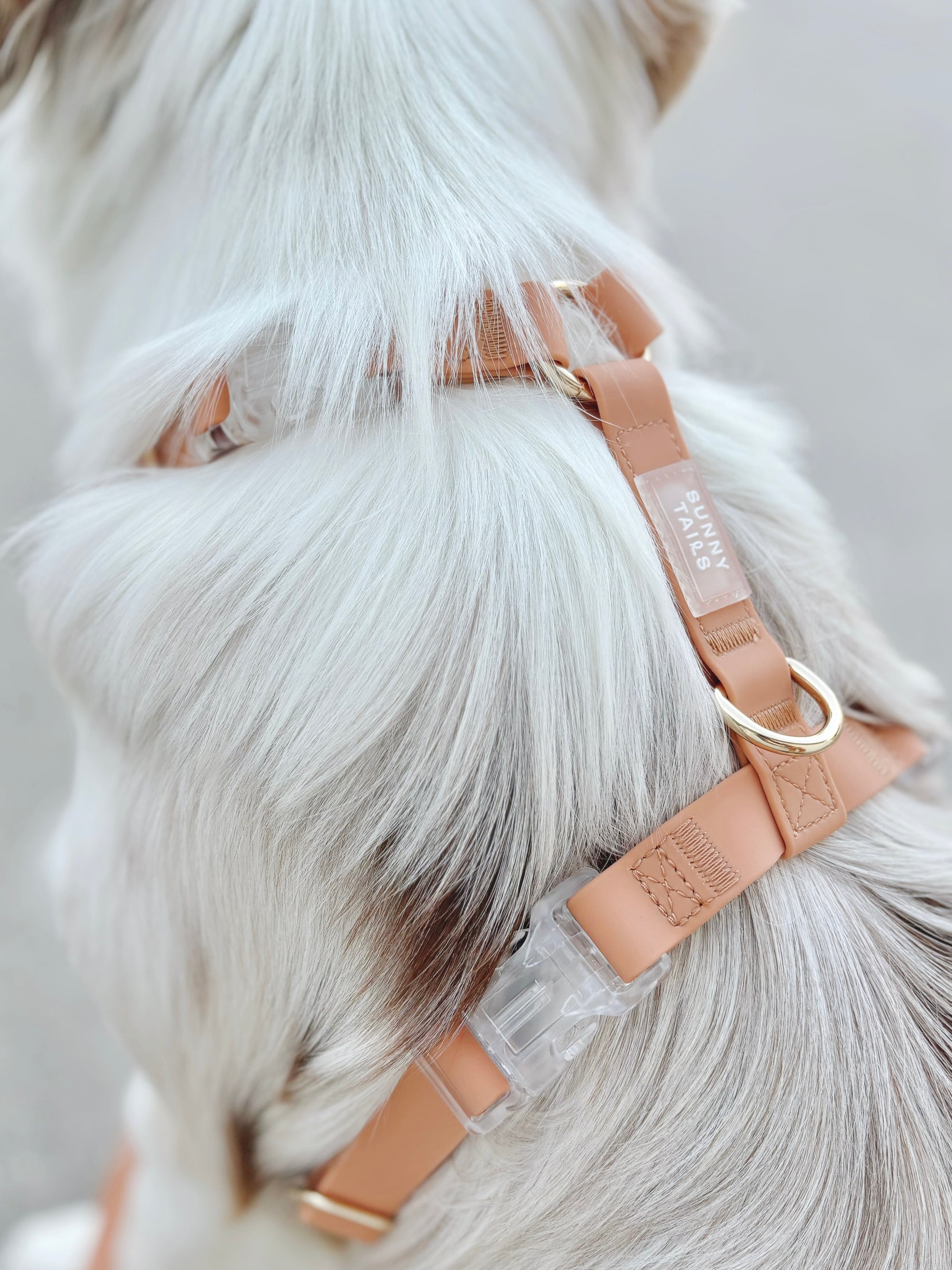 Cloud Lite Dog Harness Bundle Wide