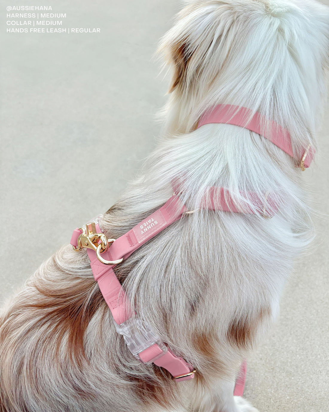 Perfect Pink Waterproof Dog Collar | Light Pink Quick Release Collar | Available in 3 Sizes | Durable Dog Collars | Shop Sunny Tails