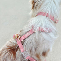 Perfect Pink Waterproof Dog Collar | Light Pink Quick Release Collar | Available in 3 Sizes | Durable Dog Collars | Shop Sunny Tails