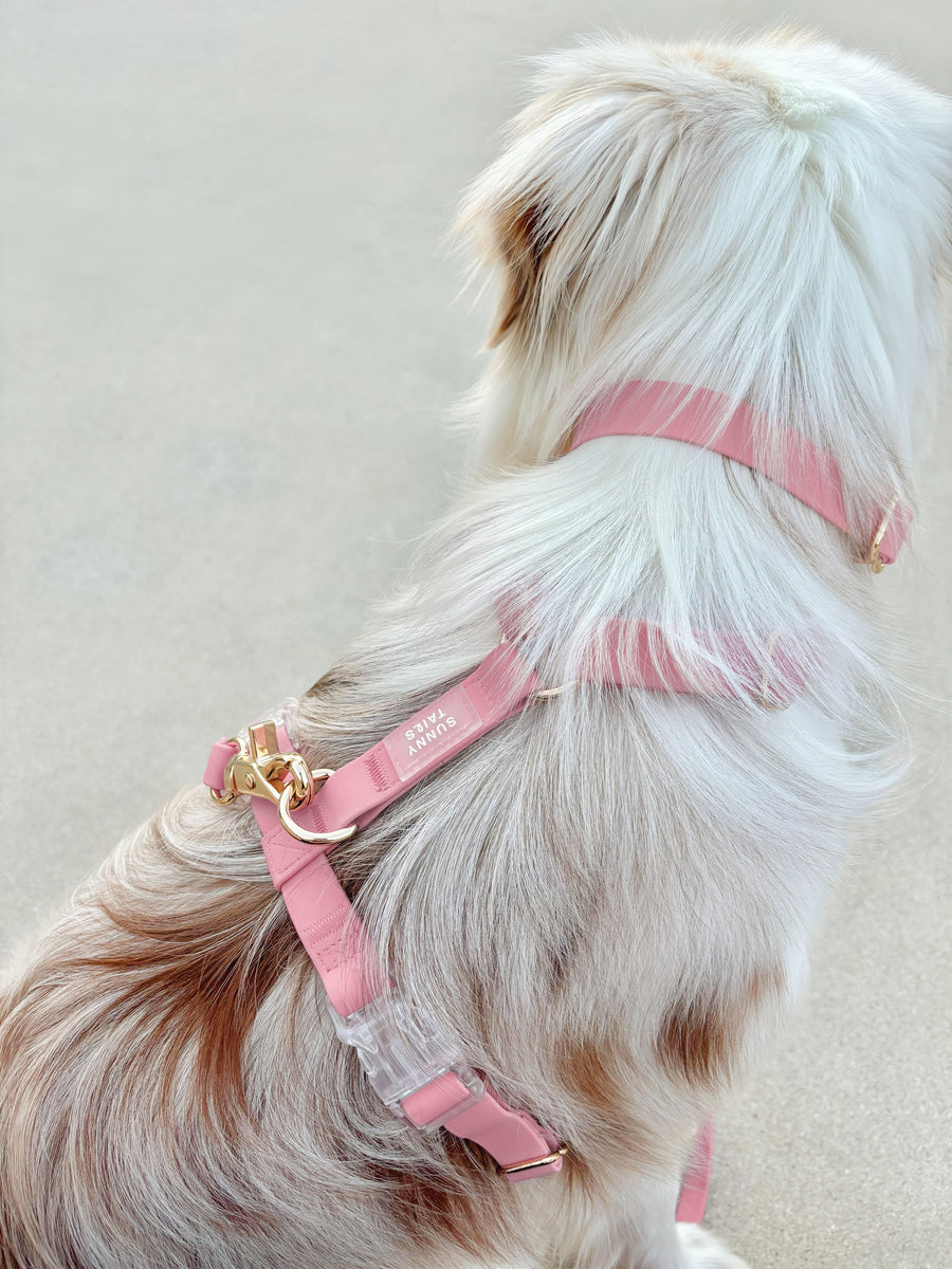 Perfect Pink Cloud Dog Collar Bundle