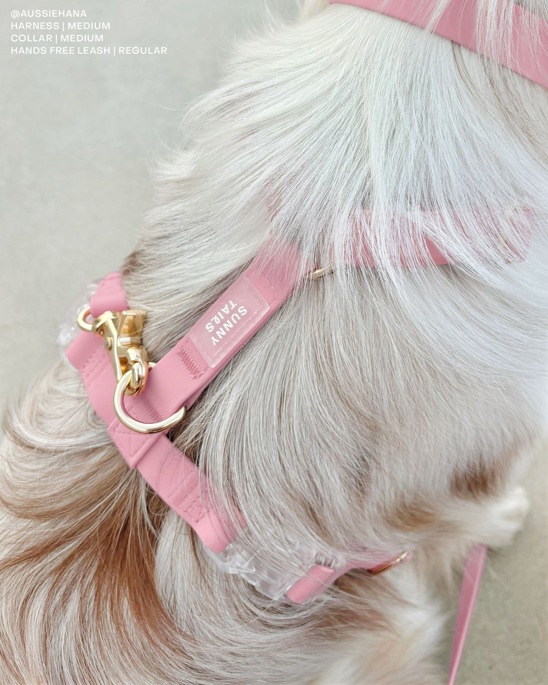 Perfect Pink Cloud Lite Dog Harness | Waterproof Dog Harness | No Pull Front Attachment | Available in 4 Sizes