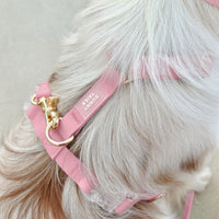 Perfect Pink Cloud Lite Dog Harness | Waterproof Dog Harness | No Pull Front Attachment | Available in 4 Sizes