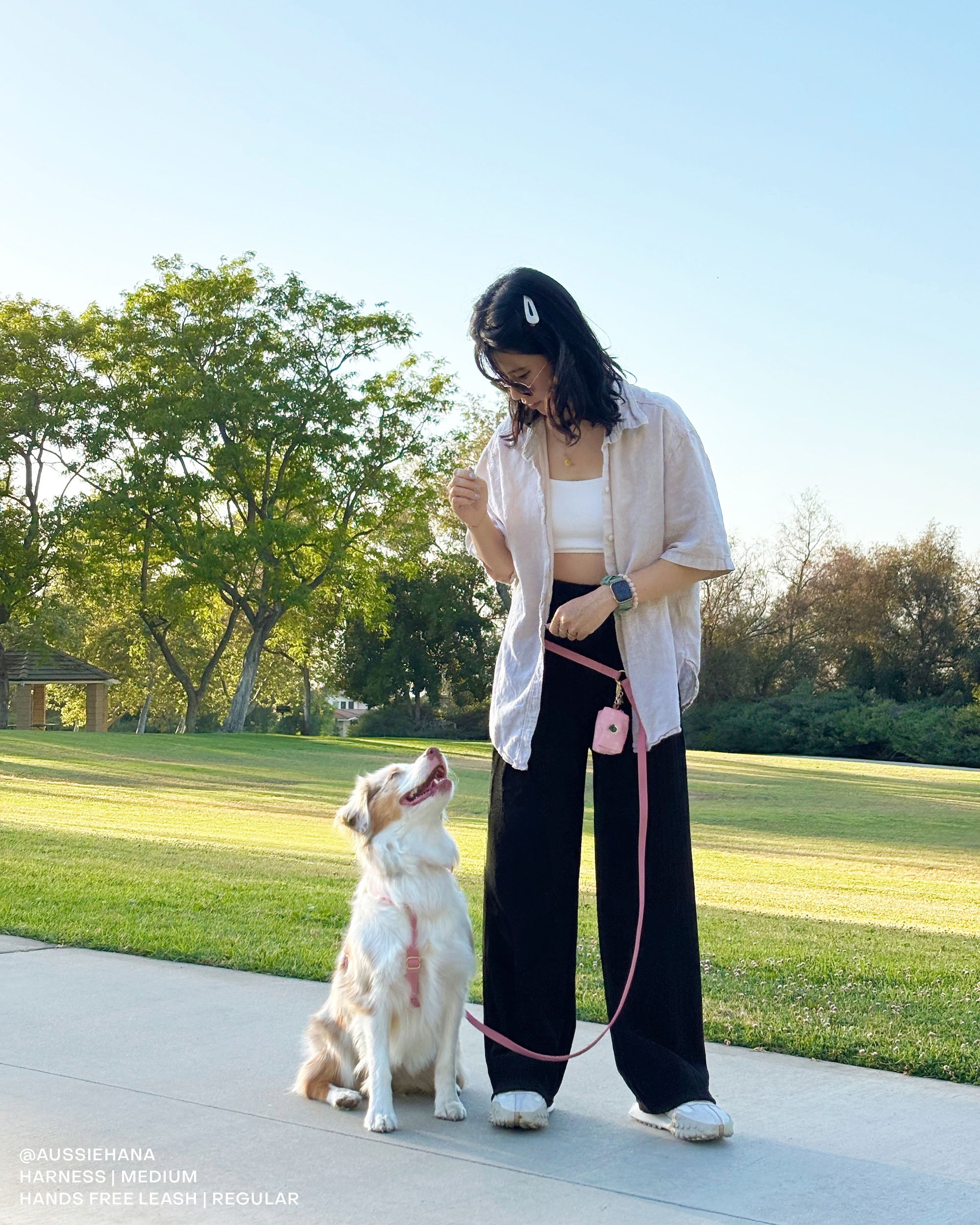 Perfect Pink Convertible Hands Free Cloud Dog Leash | Multifunctional, Waterproof, and Lightweight Dog Leash | Shop Sunny Tails