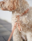 Cloud Lite Dog Harness Bundle