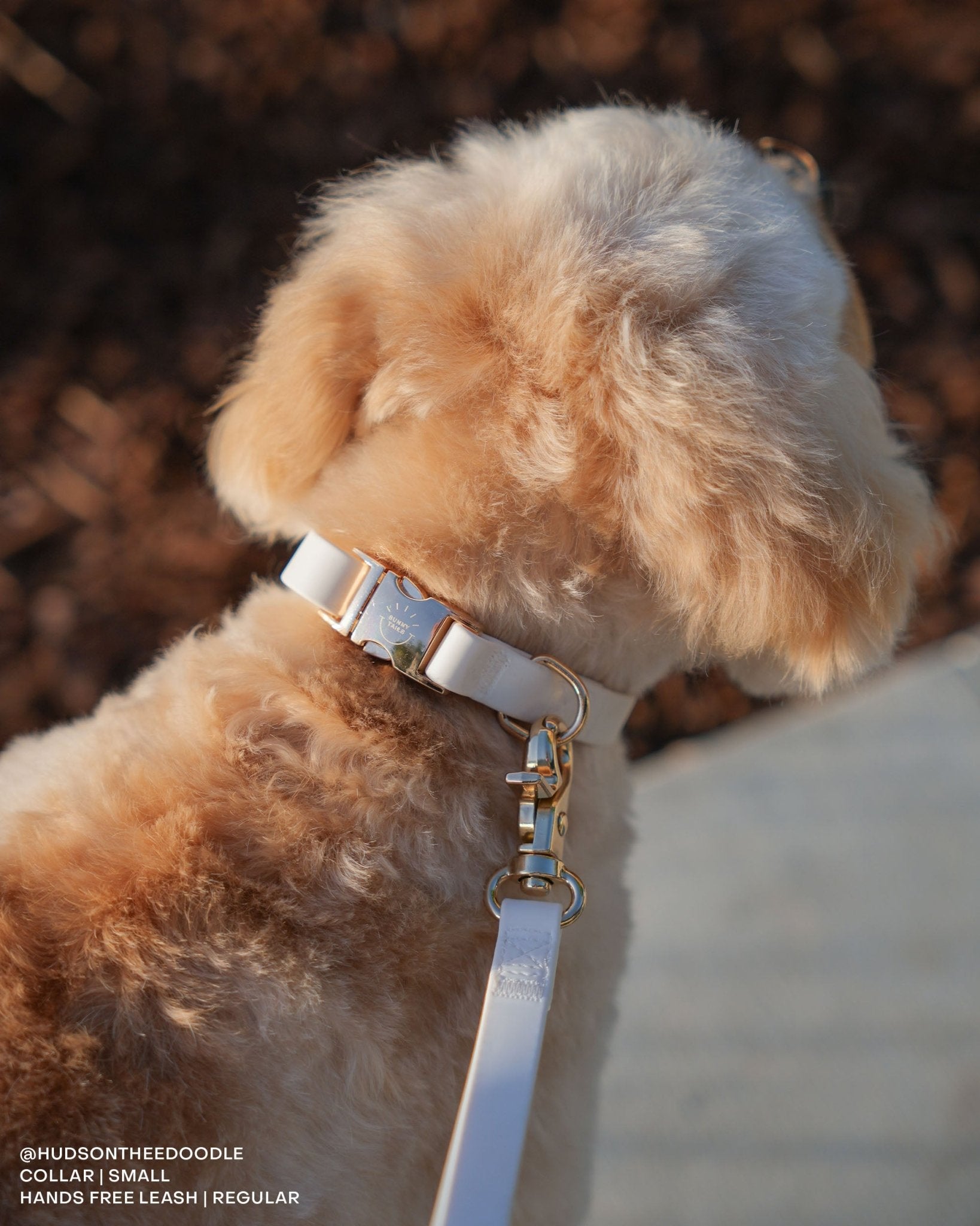 Cloud Dog Collar Bundle - SUNNY TAILS