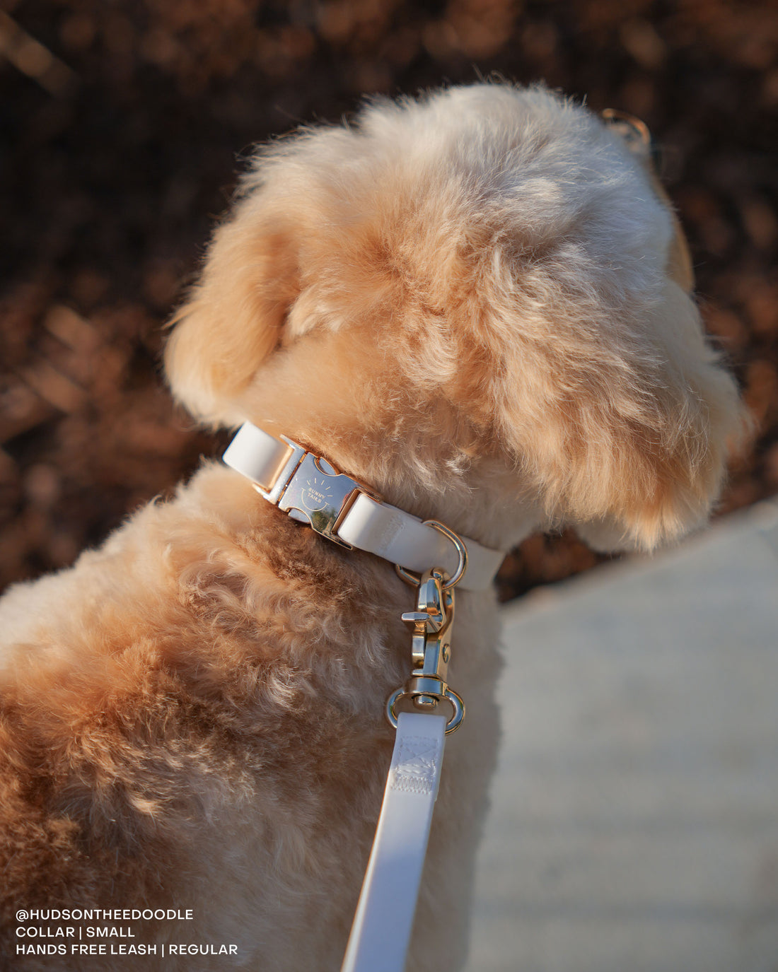 Cloud White Waterproof Dog Collar | White Quick Release Collar | Available in 3 Sizes | Durable Dog Collars | Wedding Dog Collar