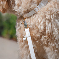 Cloud White Convertible Hands Free Cloud Dog Leash | Multifunctional, Waterproof, and Lightweight Dog Leash | Shop Sunny Tails