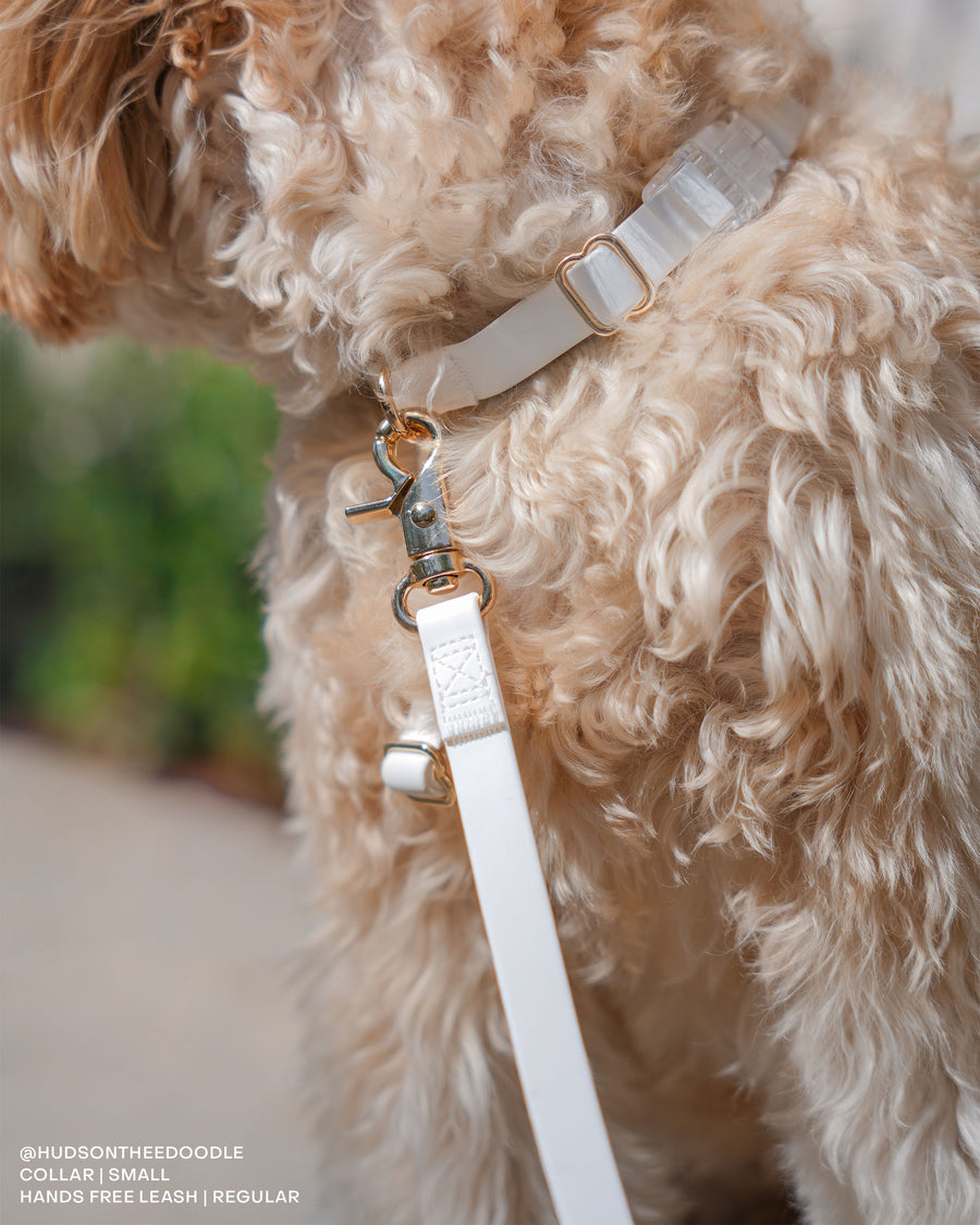 Cloud White Convertible Hands Free Cloud Dog Leash Multifunctional Waterproof and Lightweight Dog Leash