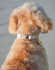Cloud White Waterproof Dog Collar | White Quick Release Collar | Available in 3 Sizes | Durable Dog Collars | Wedding Dog Collar