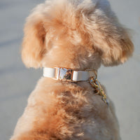 Cloud White Waterproof Dog Collar | White Quick Release Collar | Available in 3 Sizes | Durable Dog Collars | Wedding Dog Collar