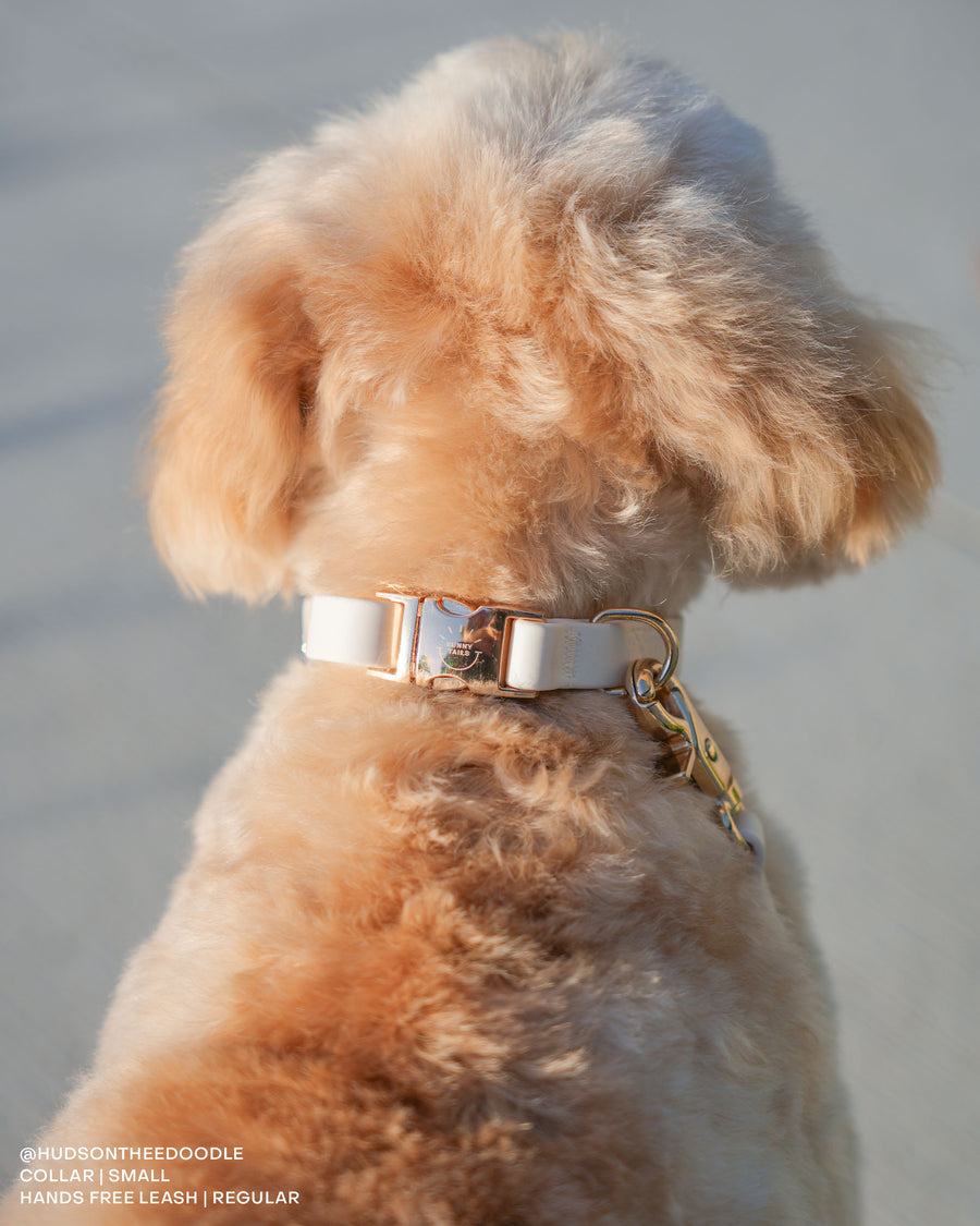 Cloud White Waterproof Dog Collar | White Quick Release Collar | Available in 3 Sizes | Durable Dog Collars | Wedding Dog Collar