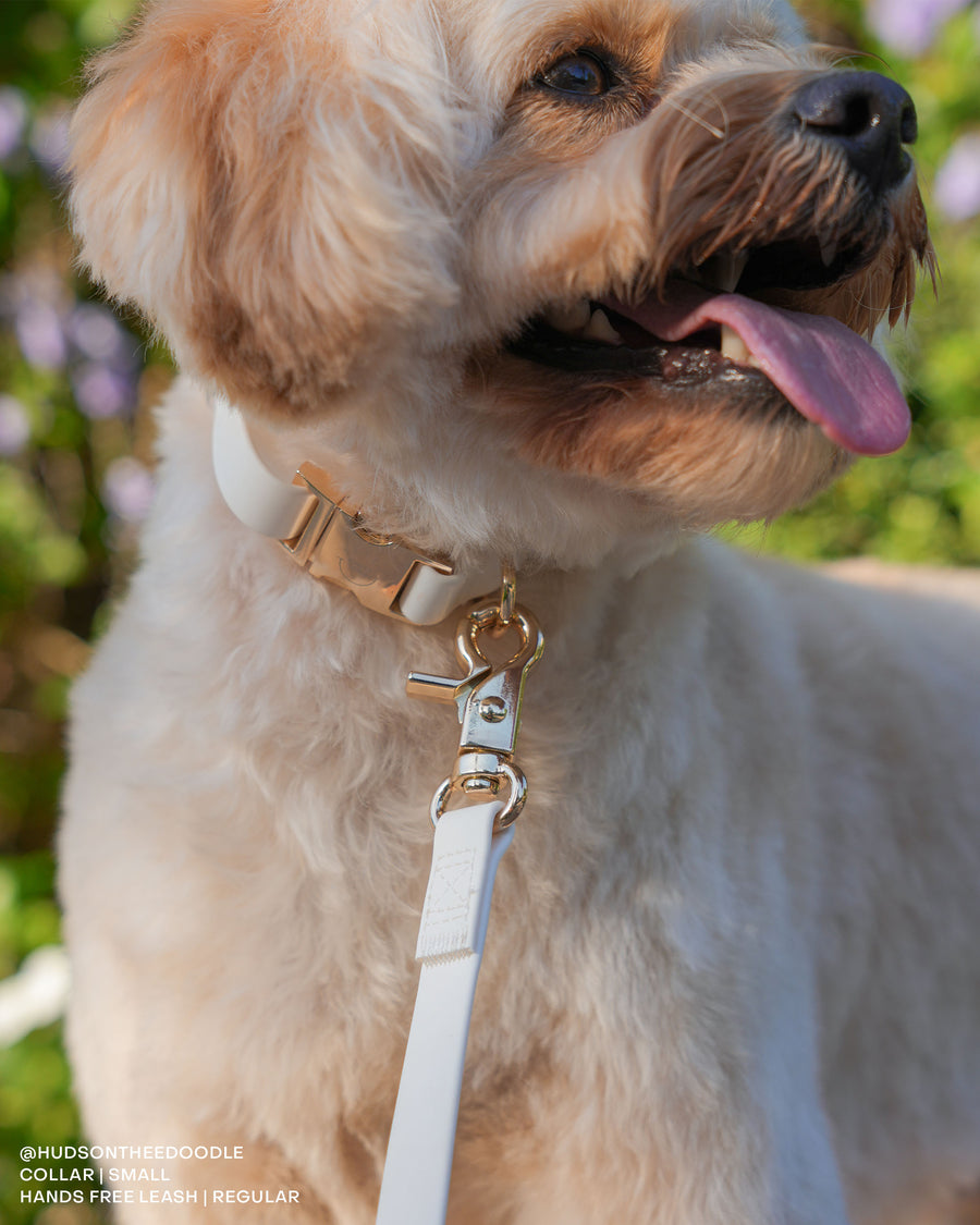 Cloud White Waterproof Dog Collar | White Quick Release Collar | Available in 3 Sizes | Durable Dog Collars | Wedding Dog Collar