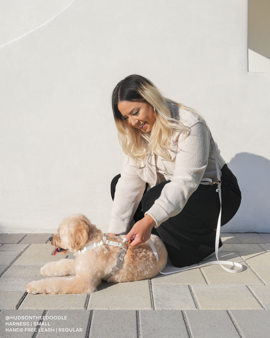 Cloud White Convertible Hands Free Cloud Dog Leash | Multifunctional, Waterproof, and Lightweight Dog Leash | Shop Sunny Tails