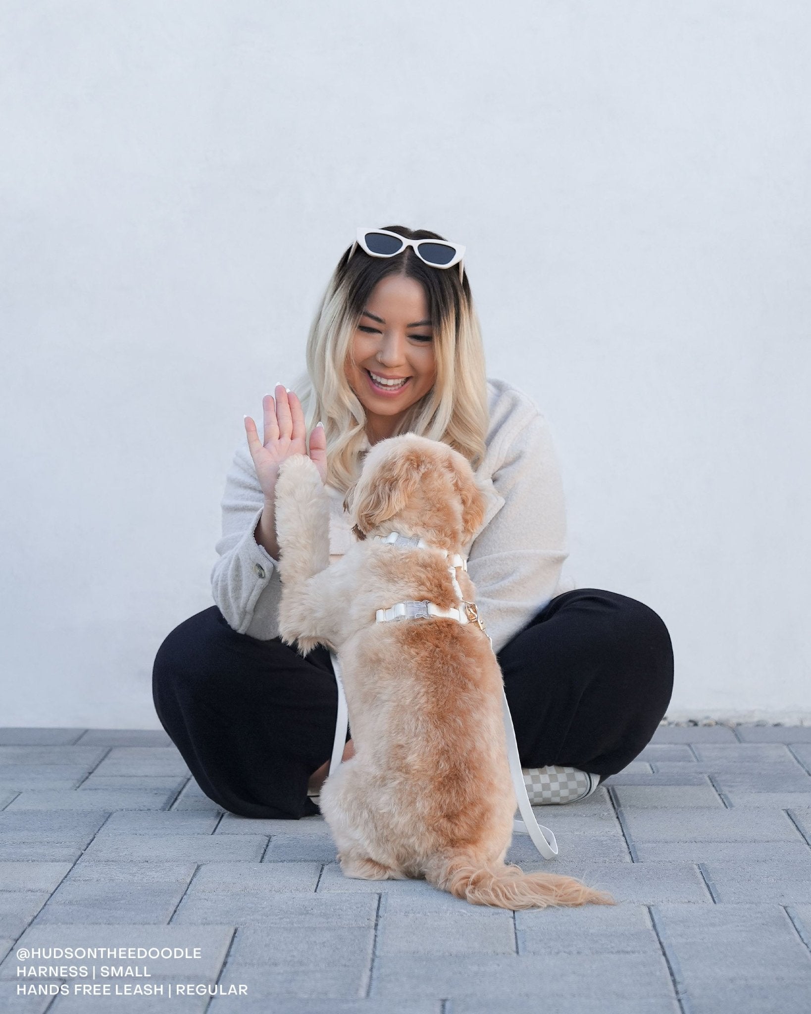 Cloud Lite Dog Harness Bundle - SUNNY TAILS