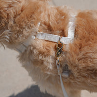 Cloud White Cloud Lite Dog Harness | Waterproof Dog Harness | No Pull Front Attachment | Available in 4 Sizes