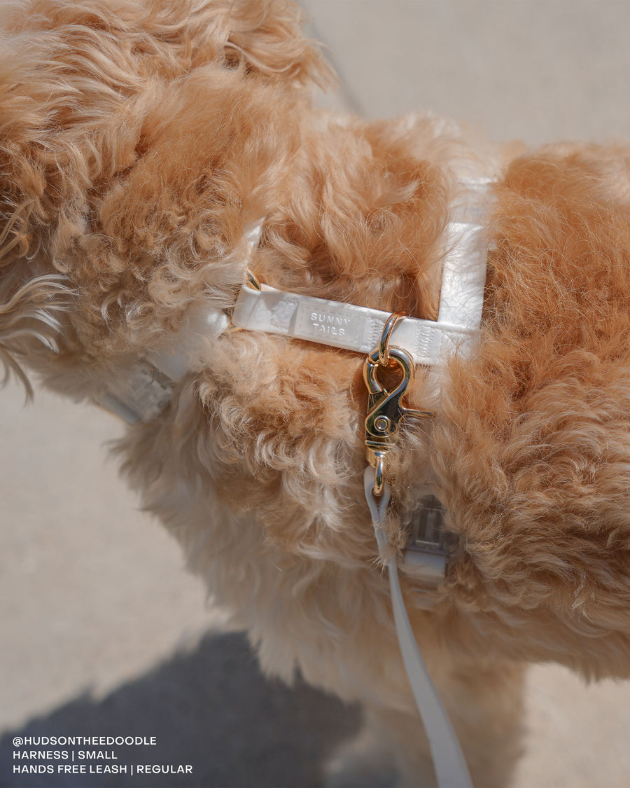 Cloud White Cloud Lite Dog Harness | Waterproof Dog Harness | No Pull Front Attachment | Available in 4 Sizes