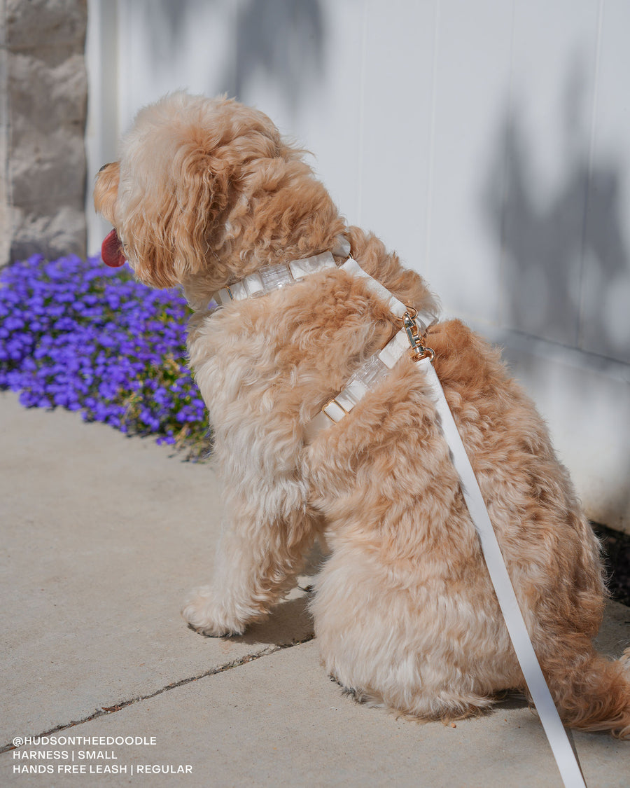 Cloud White Cloud Lite Dog Harness | Waterproof Dog Harness | No Pull Front Attachment | Available in 4 Sizes