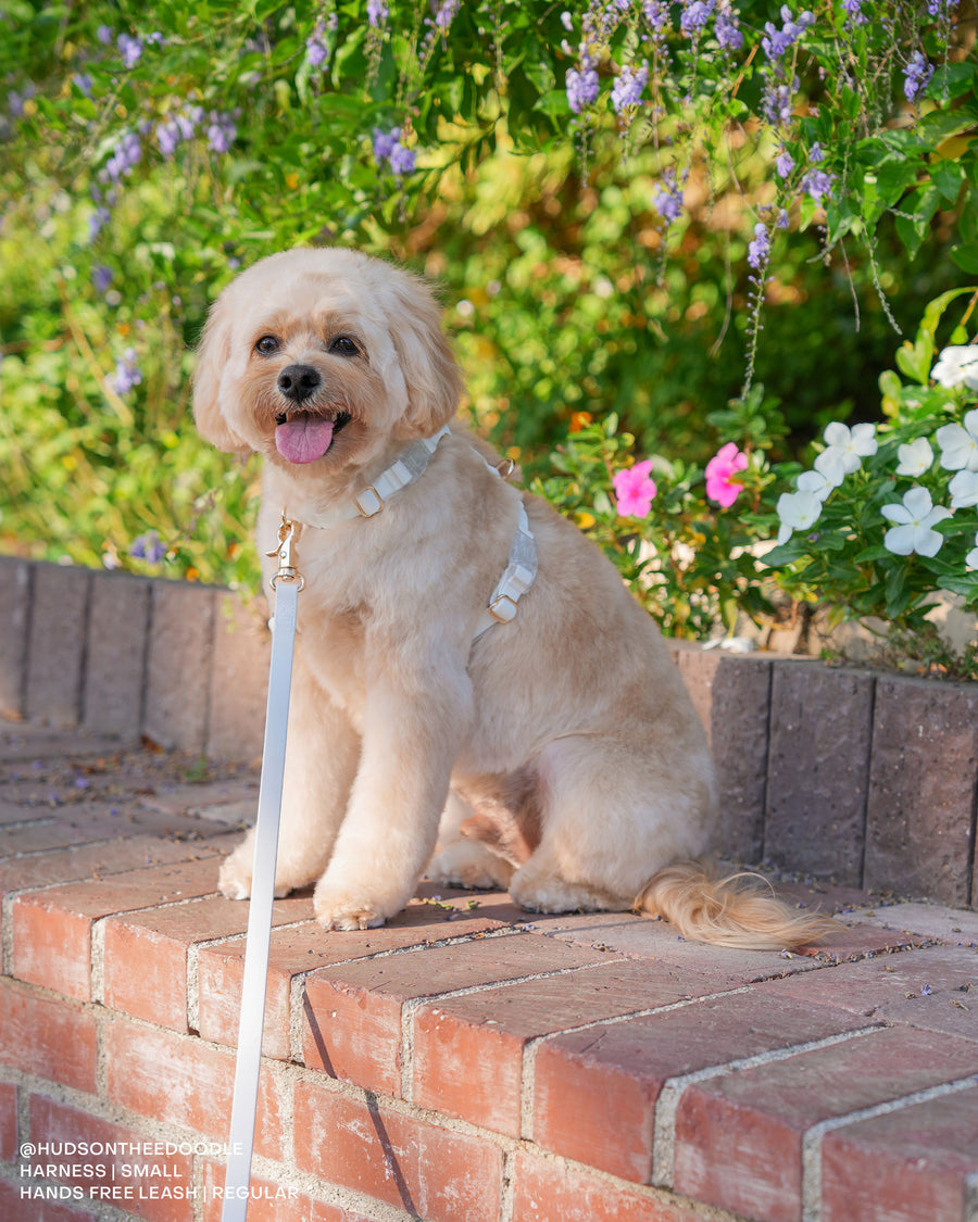 Cloud White Convertible Hands Free Cloud Dog Leash | Multifunctional, Waterproof, and Lightweight Dog Leash | Shop Sunny Tails