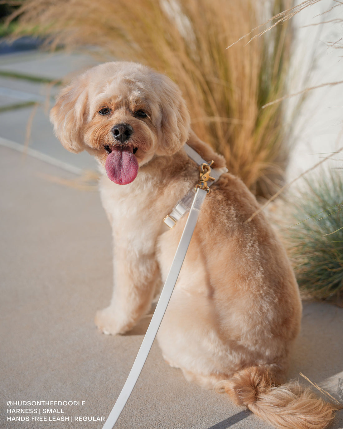 Cloud White Waterproof Cloud Dog Leash