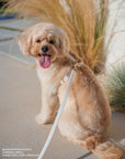 Cloud White Waterproof Cloud Dog Leash