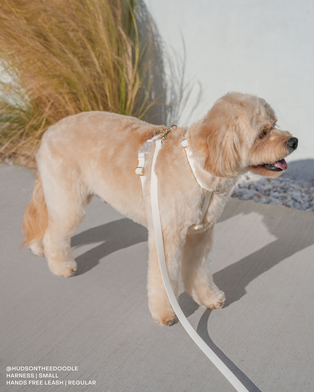 Cloud White Cloud Convertible Leash Extension Bundle