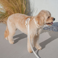 Cloud White Cloud Convertible Leash Extension Bundle