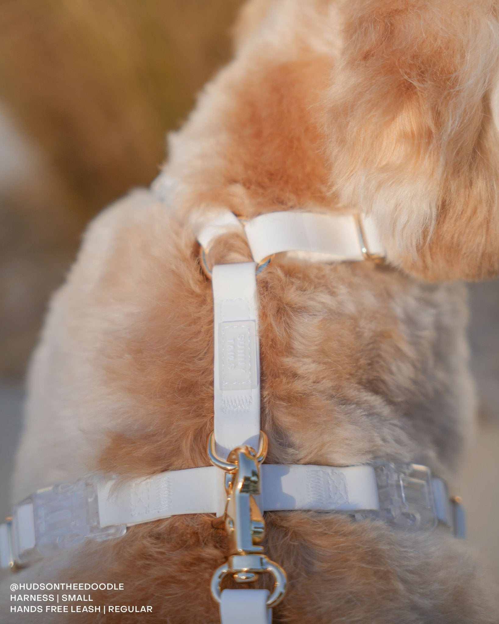 Cloud White Cloud Lite Dog Harness | Waterproof Dog Harness | No
