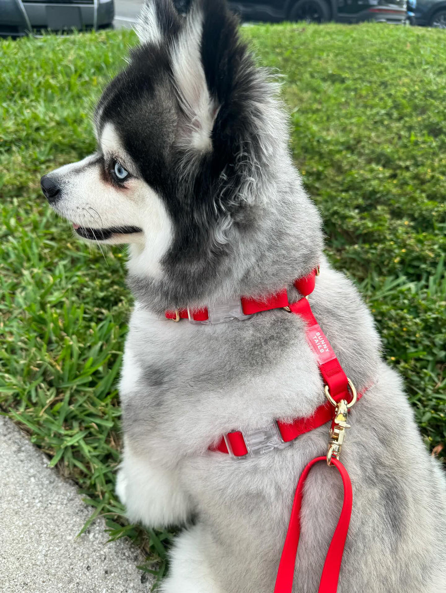 Cherry Red 4-in-1 Convertible Hands Free Cloud Dog Leash