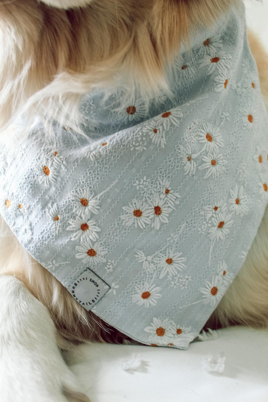 Embroidered Daisies Dog Bandana