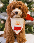 Sherpa Stocking Teddy Bandana - Beige - SUNNY TAILS