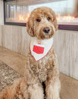 Sherpa Stocking Teddy Bandana - Beige - SUNNY TAILS