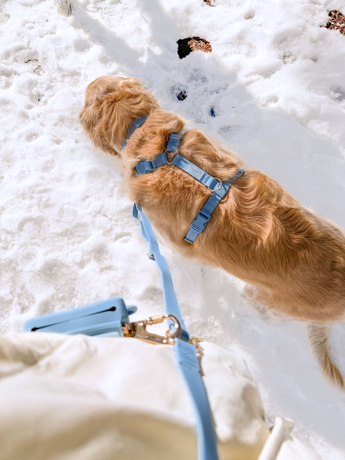 Malibu Blue Wide Hands Free Leash | Cloud Lite Harness | Snap Dog Treat Pouch |  Waste Dog Poop Bag Dispenser