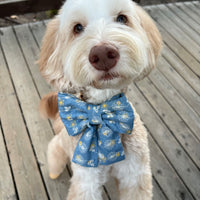 Denim & Daisies Dog Sailor Bow