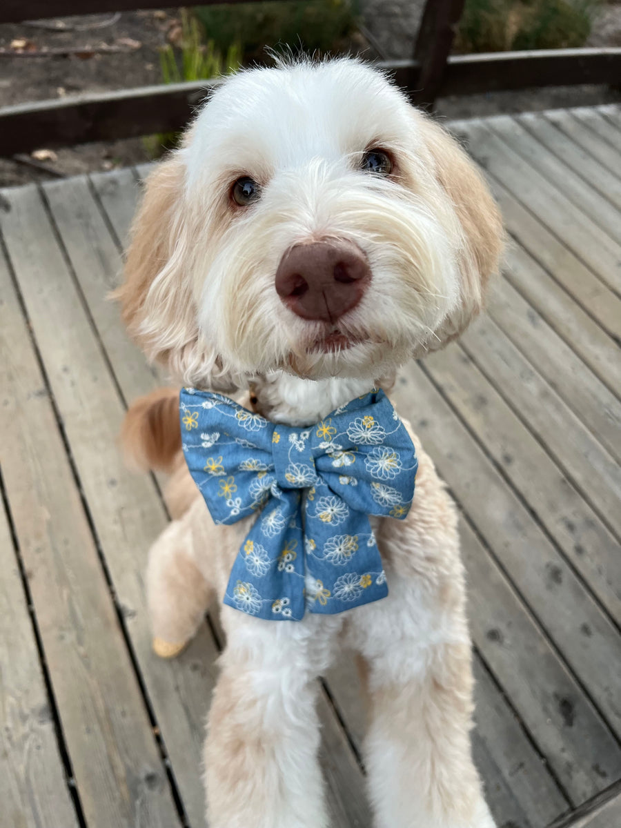 Denim & Daisies Dog Sailor Bow