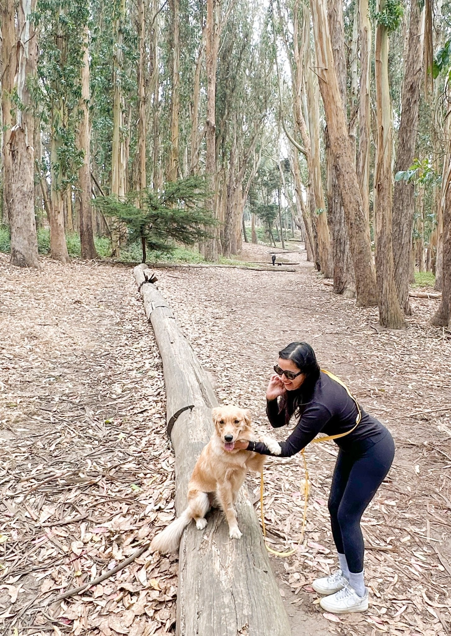 Best Sellers Collar &amp; Treat Pouch Bundle Wide - SUNNY TAILS
