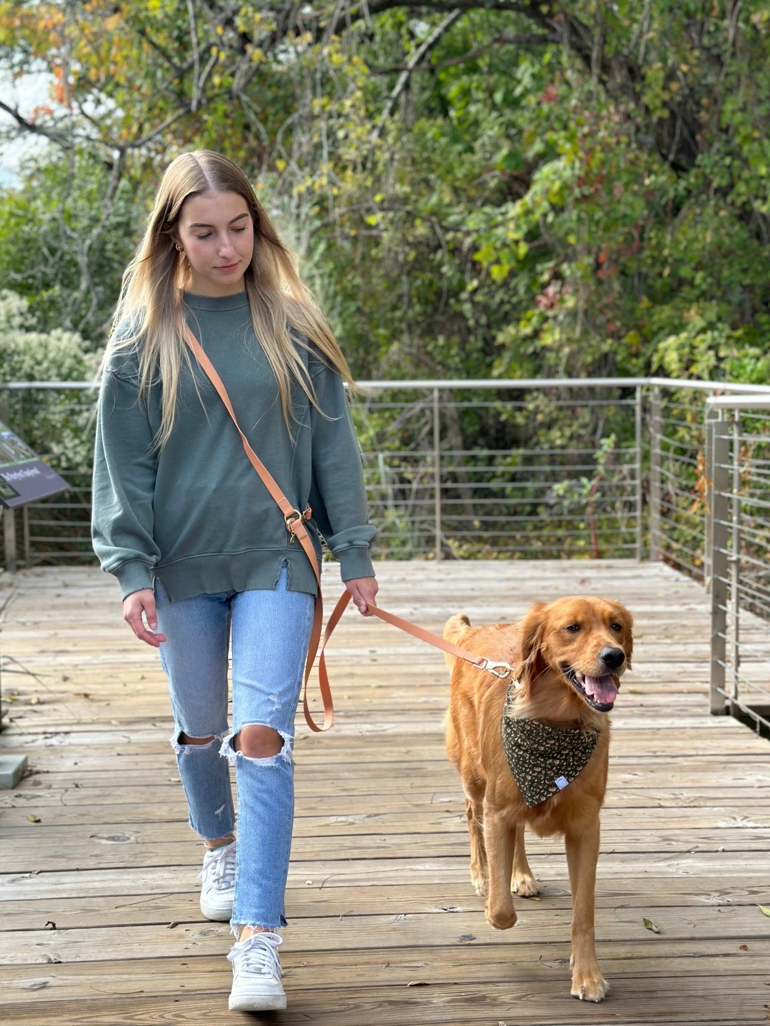 Cloud Lite Dog Harness Bundle Wide - SUNNY TAILS