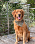Autumn Florals Corduroy Dog Bandana - SUNNY TAILS