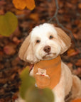 Caramel Corduroy Pocket Teddy Vo2. 1 Dog Bandana - Brown | Fall Teddy Bear Dog Bandana | Shop Sunny Tails