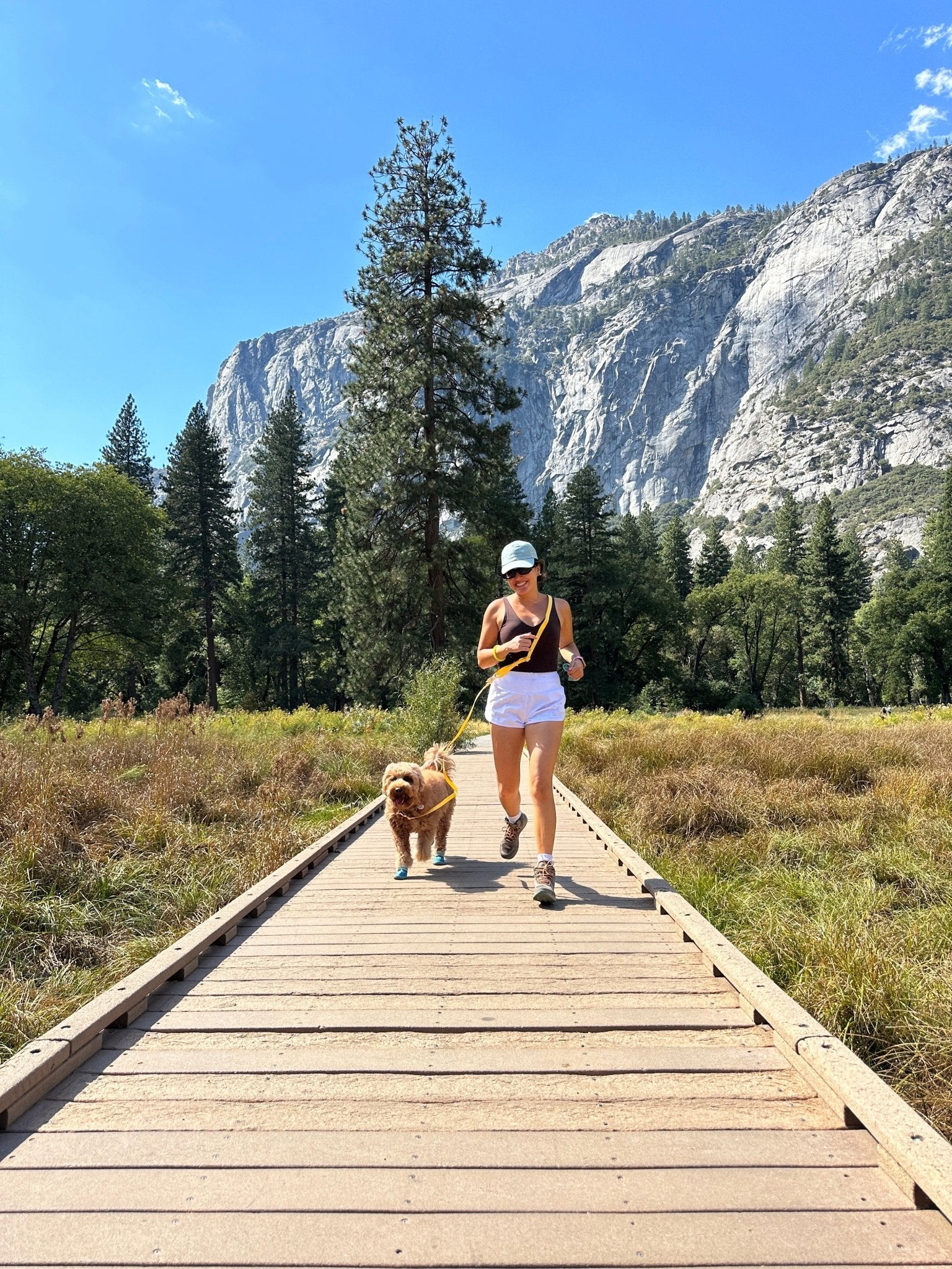 Cloud Lite Dog Harness Treat Pouch Bundle Wide - SUNNY TAILS