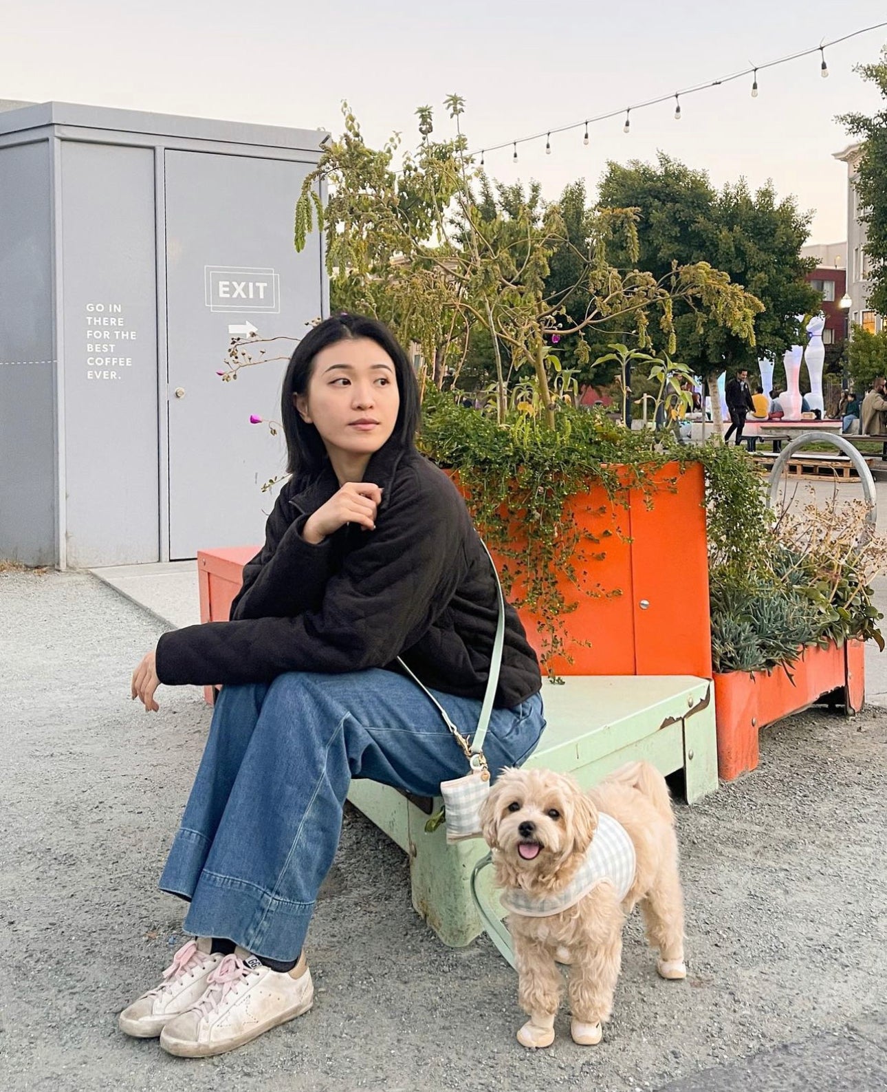 Cloud Convertible Leash Extension Bundle