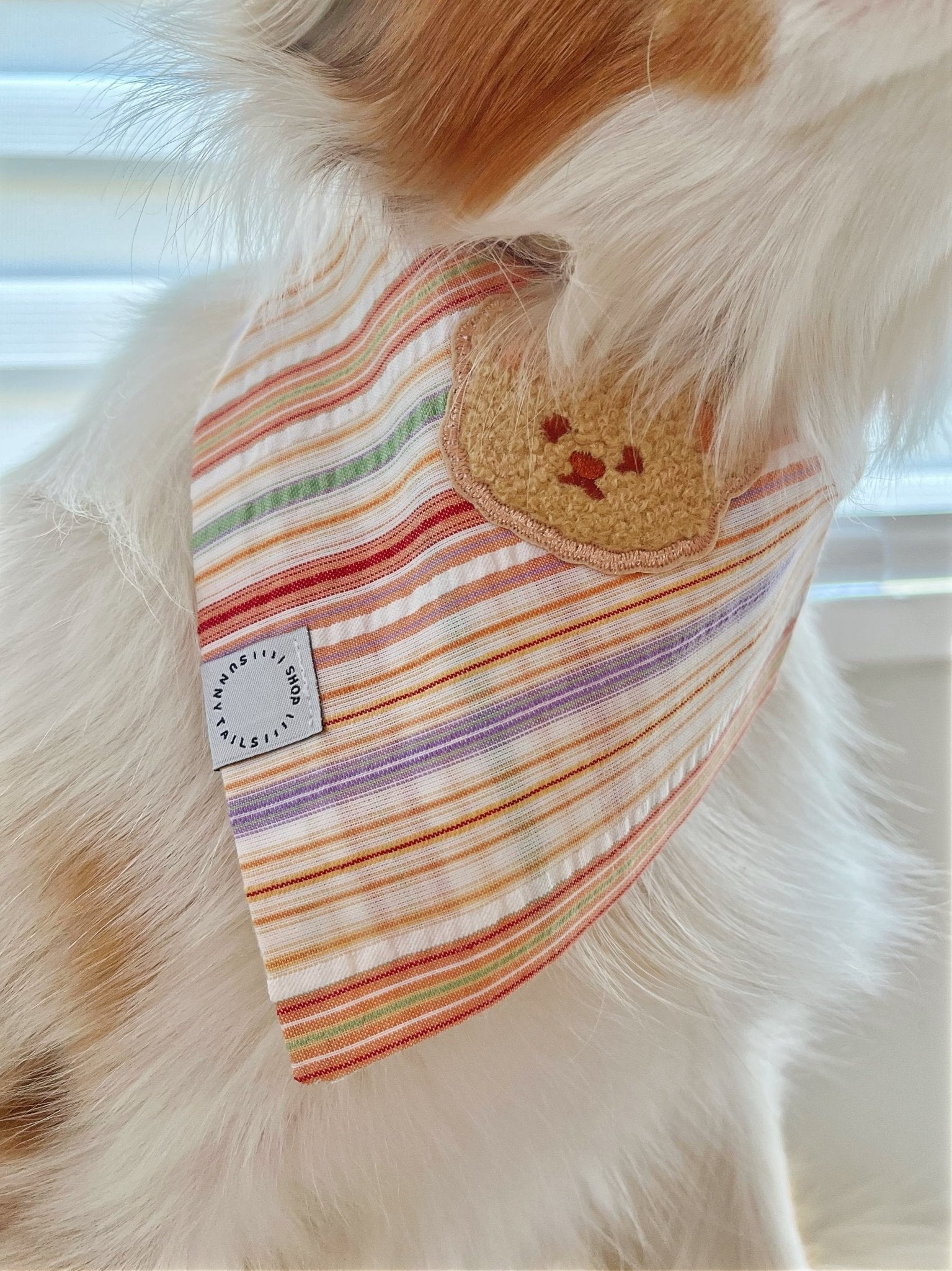 Sherbet Teddy Dog Bandana - SUNNY TAILS