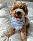 Summer Bliss Frayed Dog Bandana
