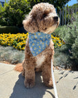 Denim & Daisies Dog Bandana