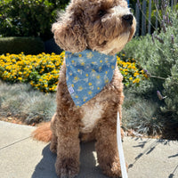 Denim & Daisies Dog Bandana