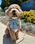 Denim & Daisies Dog Sailor Bow