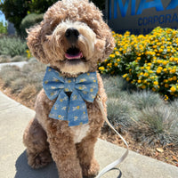 Denim & Daisies Dog Sailor Bow