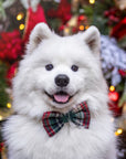 Green Tartan Flannel Dog Bow Tie