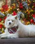 Winterberry Plaid Flannel Frayed Dog Bandana - SUNNY TAILS